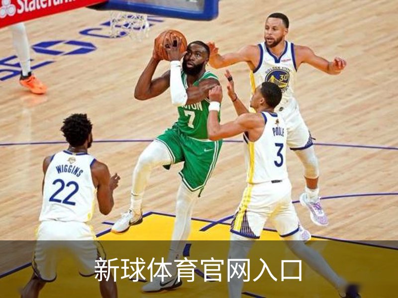 新球体育官网入口概况